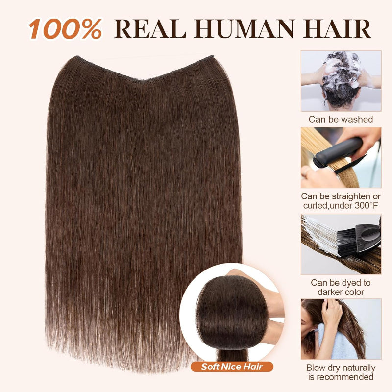 #color_02 dark brown